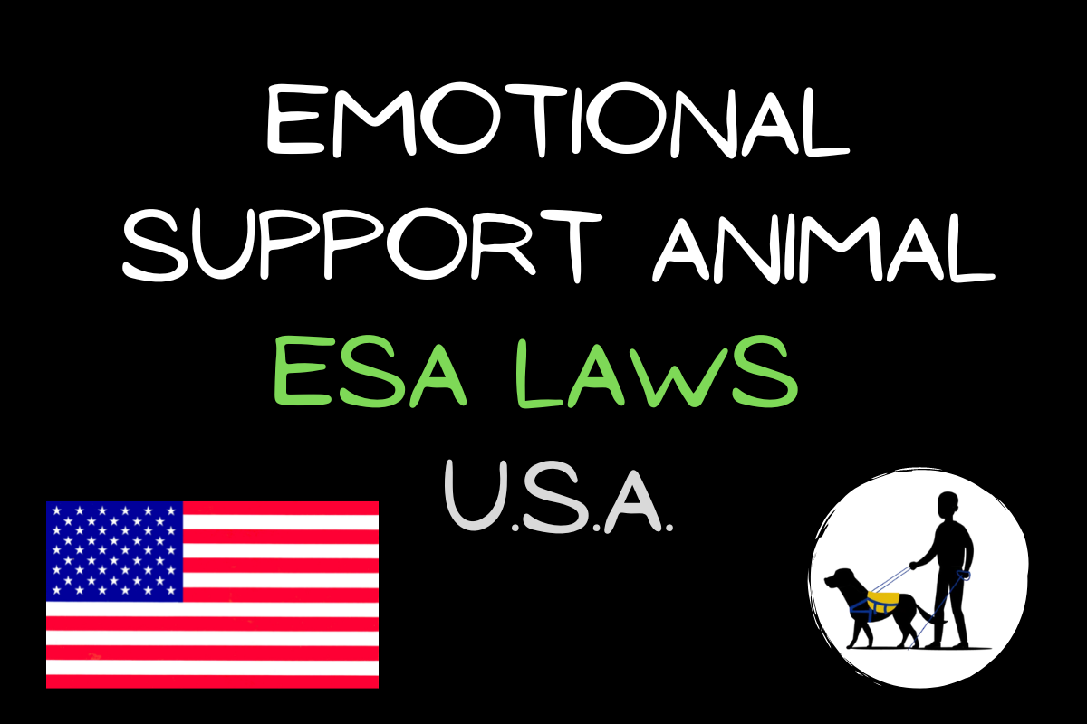 'Video thumbnail for Emotional Support Animal Laws Summary [U.S.]'