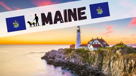 service dog laws Maine