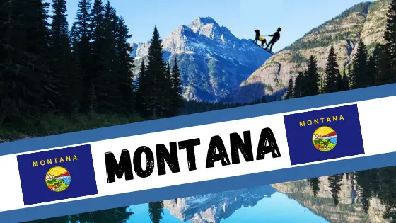 Service Dog Laws in Montana – Epic Guide, FAQ + More (2022) – The Service Dogs