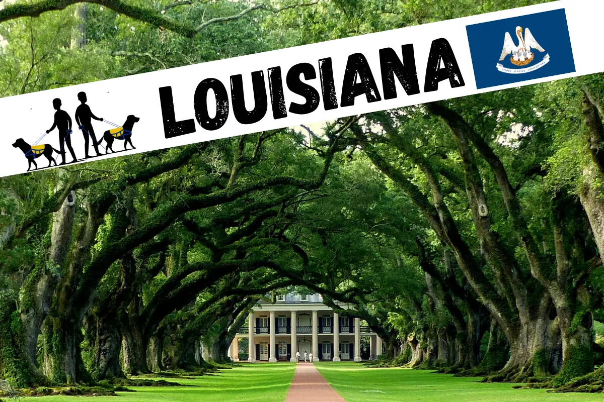 Louisiana Service Dog Laws