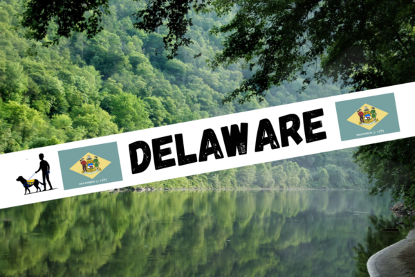 Delaware Service Dog Laws