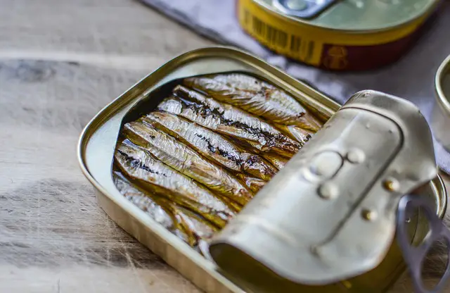 canned fish 