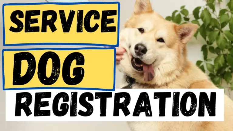 service dog registrtion
