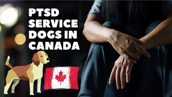 PTSD Service Dogs Canada
