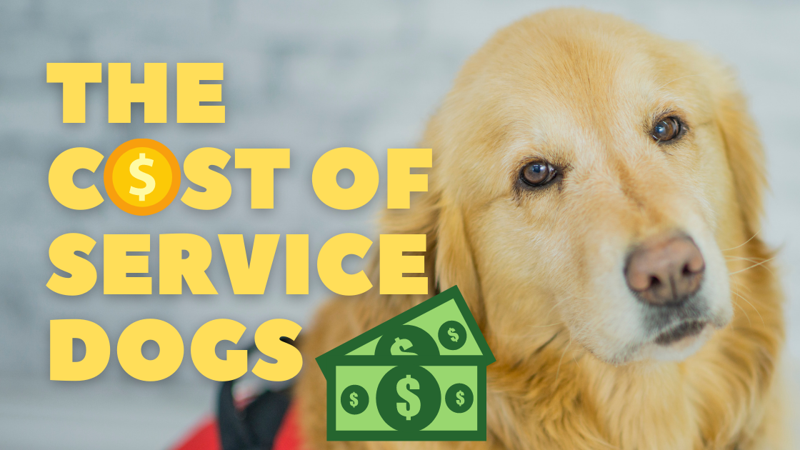cost of service dogs