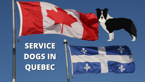 service dogs quebec
