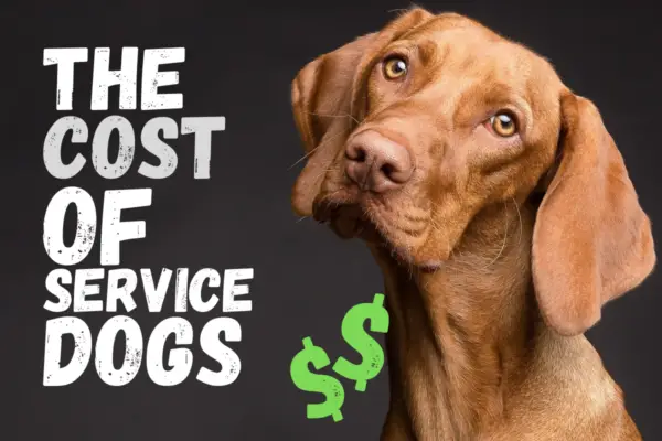the cost of service dogs