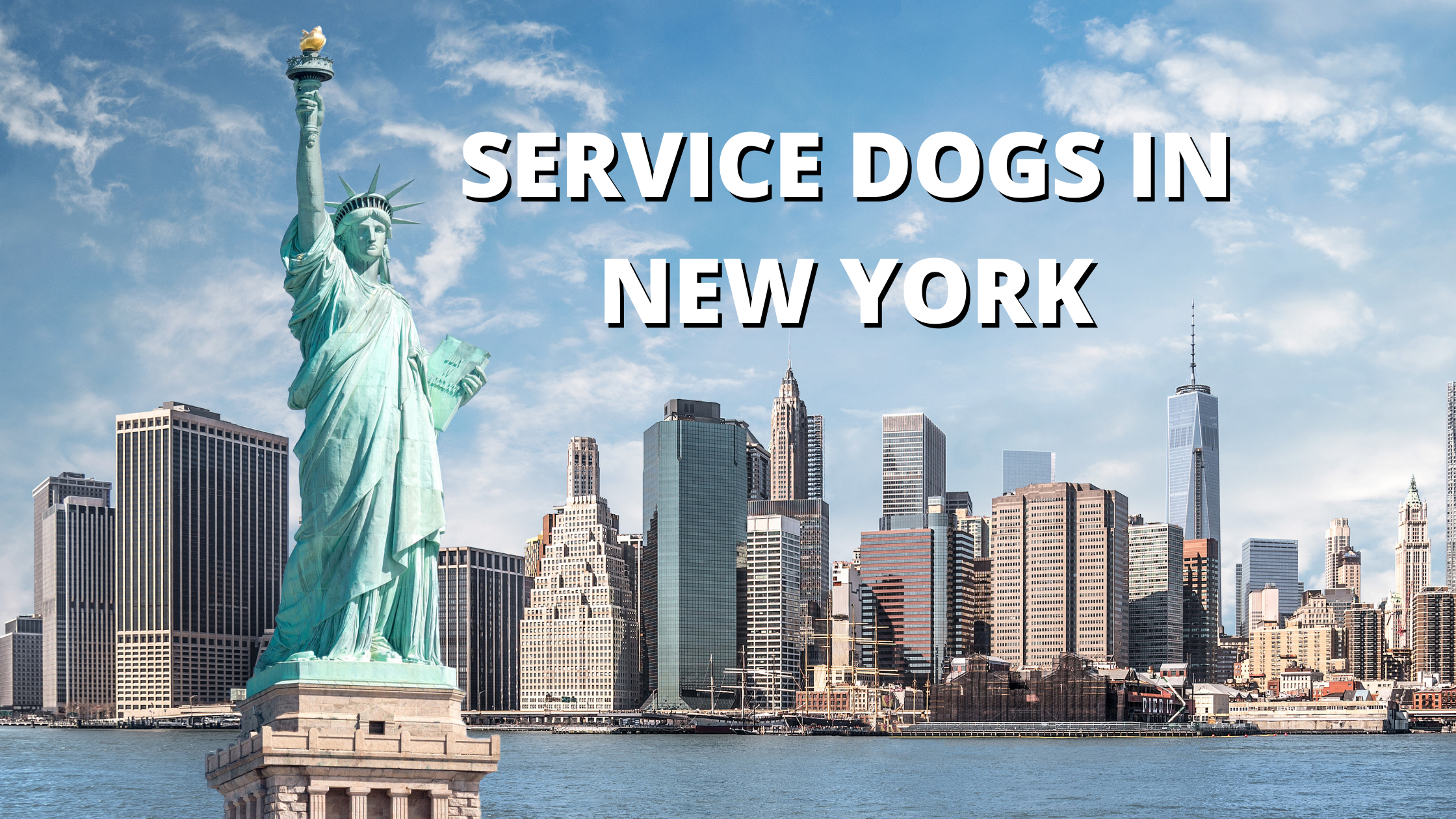 new york service dog laws