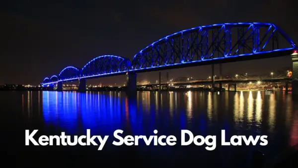 Service dog laws Kentucky 