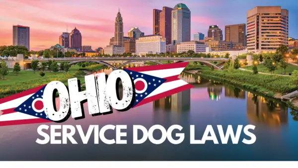 service dog laws ohio