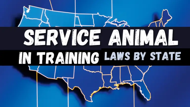 service animal in training