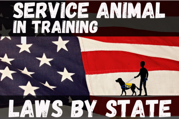 service animal in training laws by state