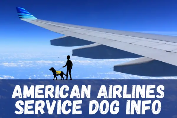 American Airlines Service Dog Info