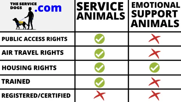 service animals vs. emotional support animals 