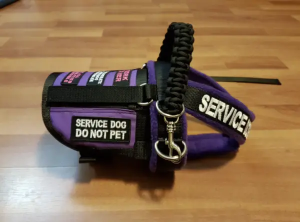 Where to Buy Service Dog Vests & Gear - The Ultimate Guide