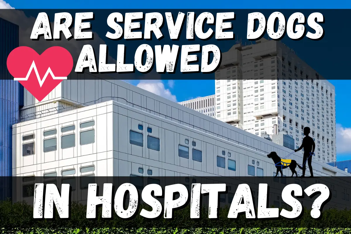 are service dogs allowed in hospitals