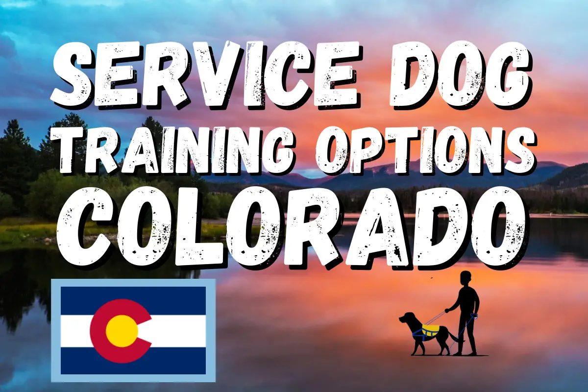 Service Dog Training Colorado