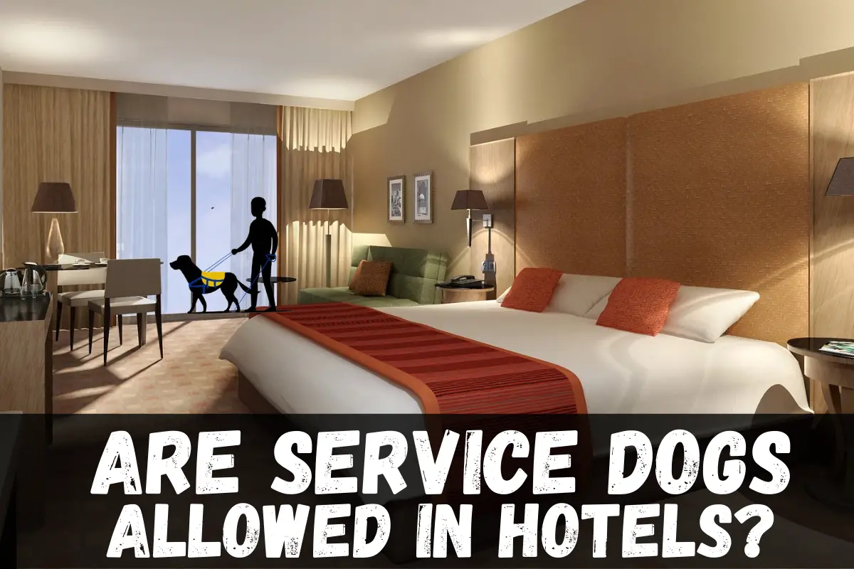 are service dogs allowed in hotels