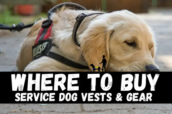 where to buy service dog vests