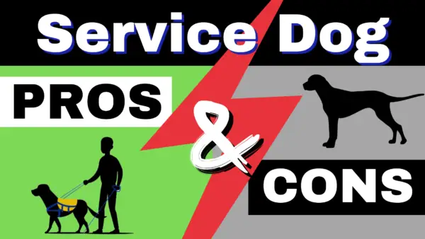 Service Dog Pros and Cons
