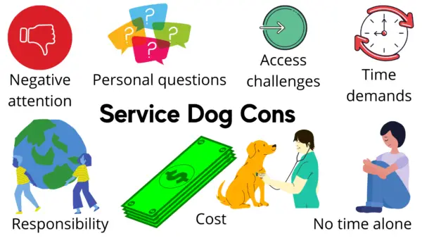 Service Dog Pros and Cons, Cons 