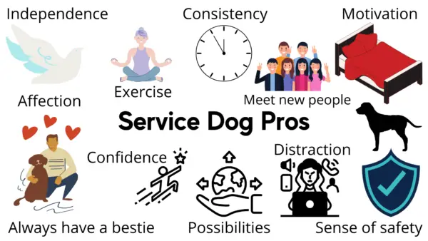 Service Dog Pros 