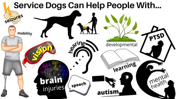 Service Dogs can help people with a number of different disabilities 