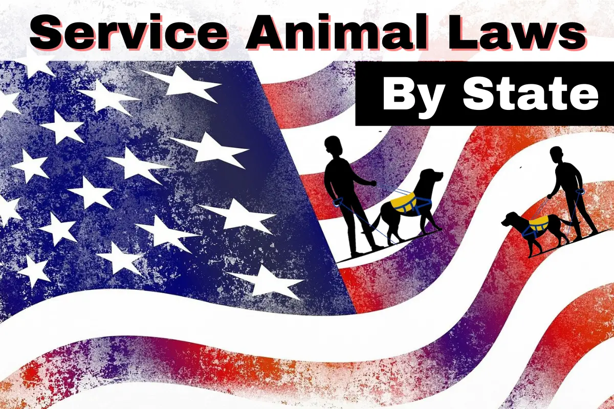Service Animal Laws By State