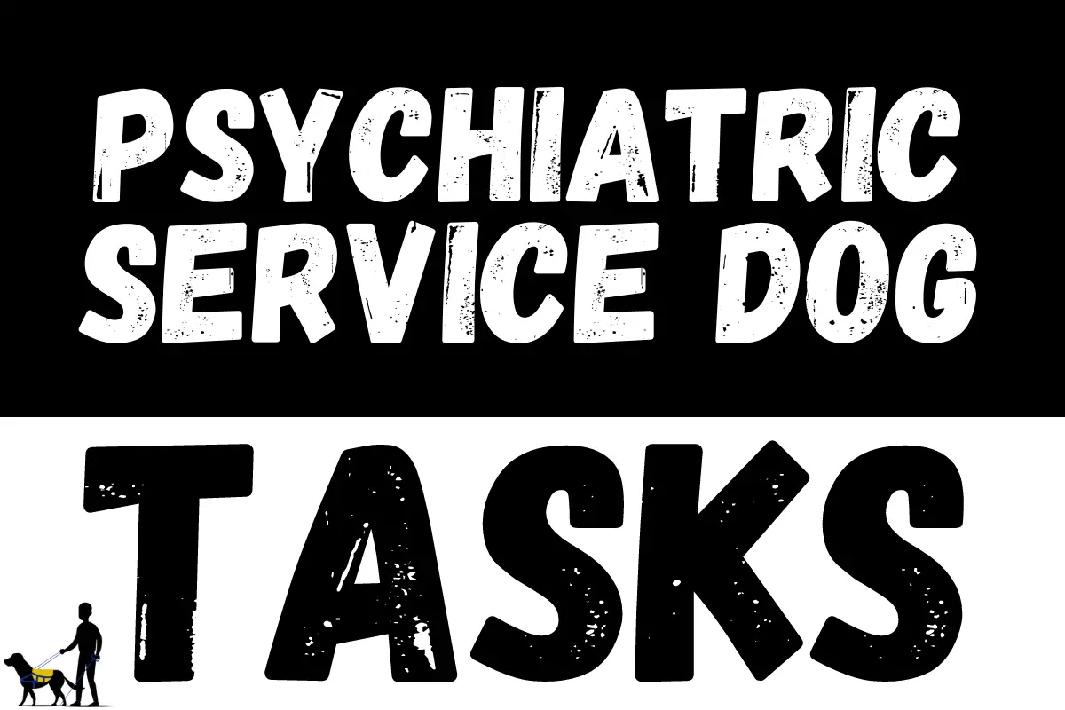 Psychiatric service dog tasks