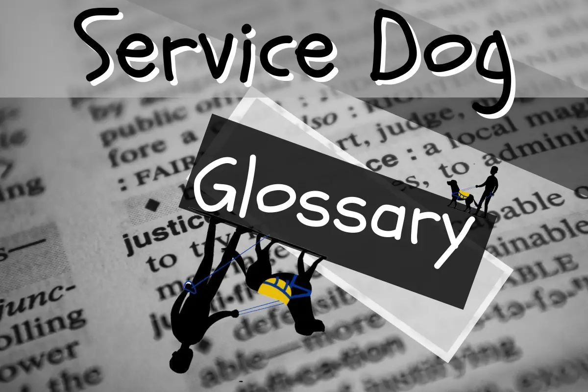 service dog glossary