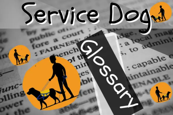 service dog glossary 