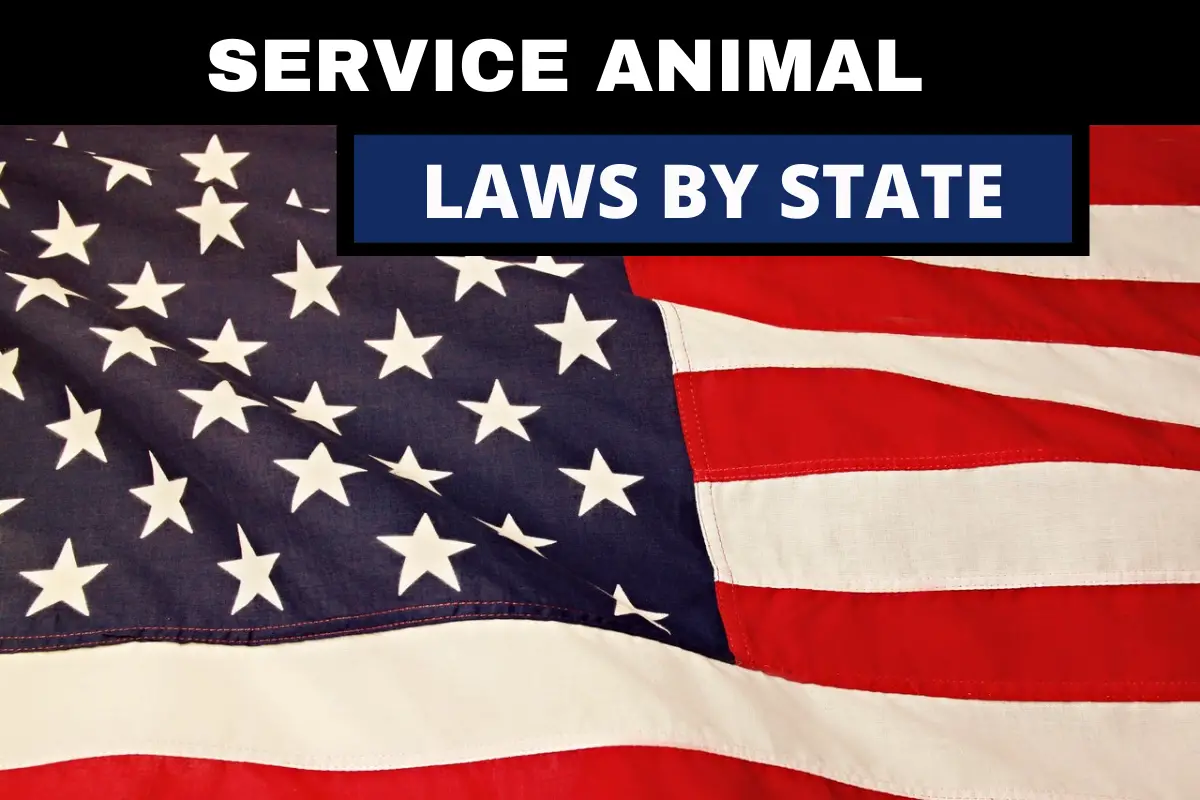 Service animal laws by state