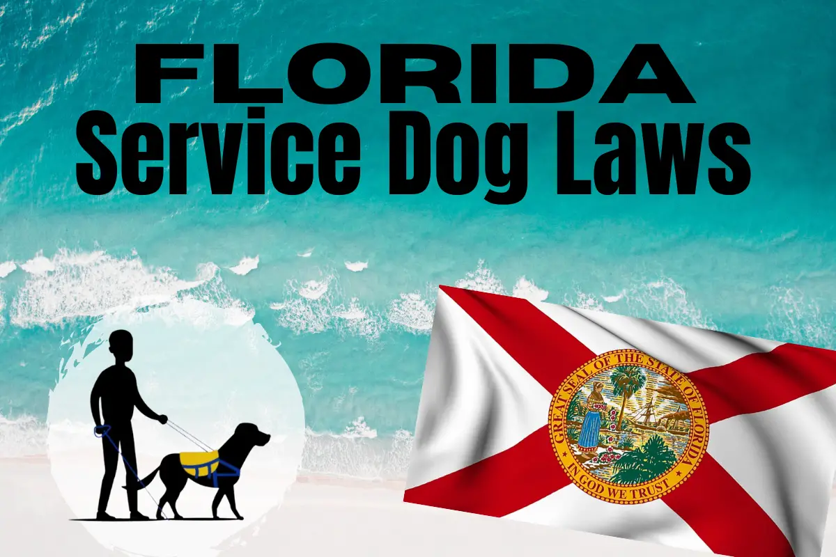 Florida Service Dog Laws