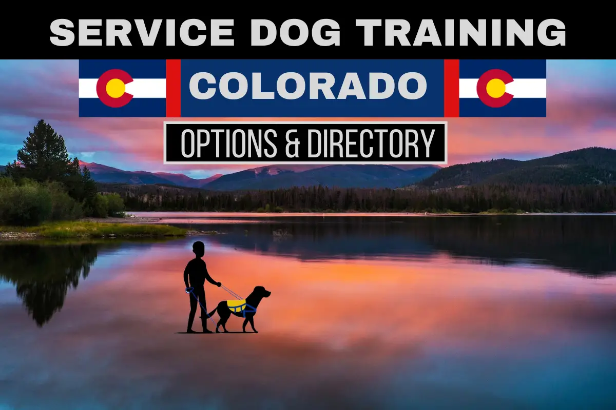 Service Dog Training Colorado