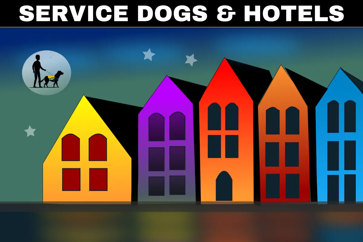 Service Dogs & Hotels