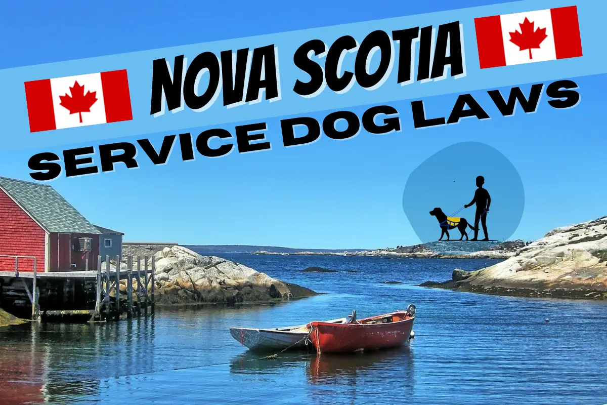 Service Dog Laws Nova Scotia
