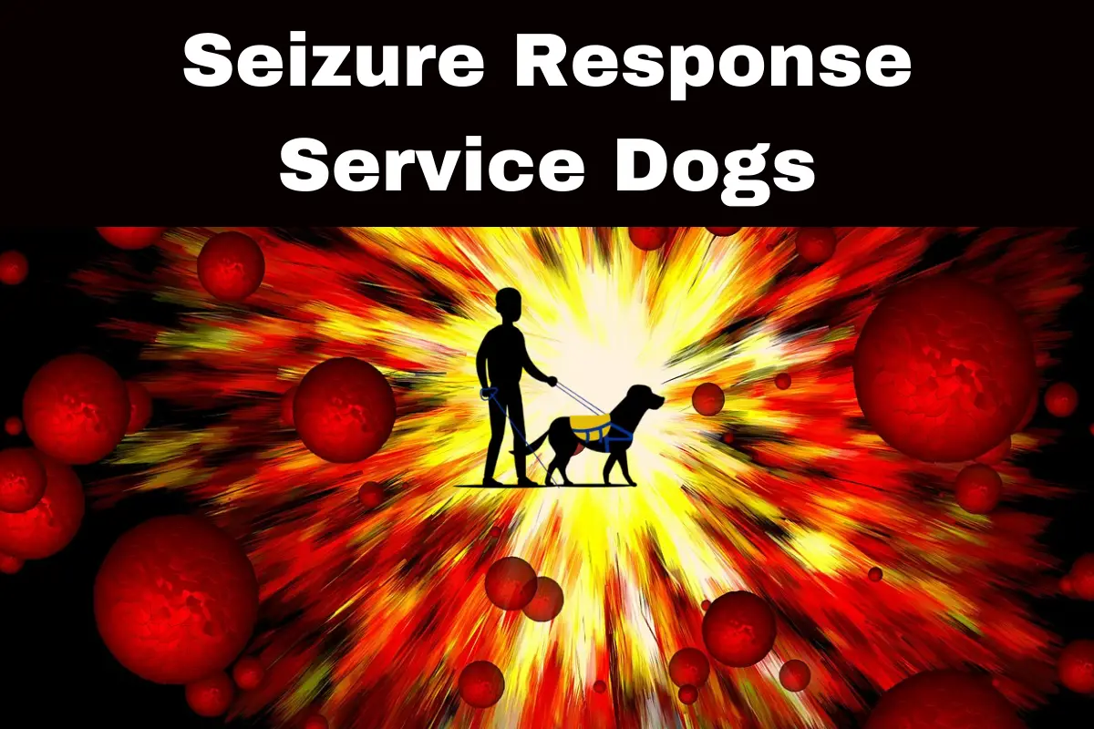 Seizure Response Service Dogs