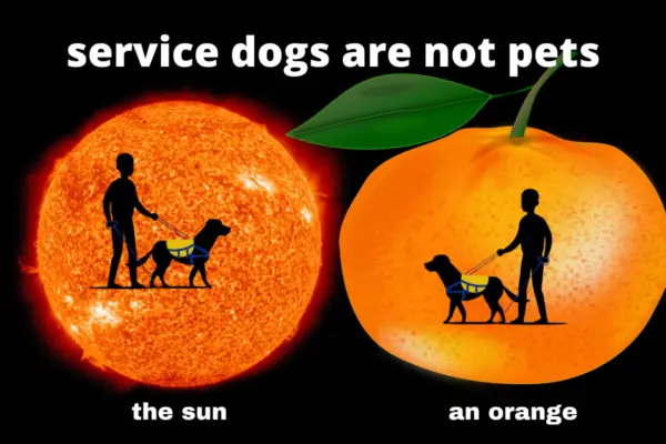 service animals are not pets Ontario 
