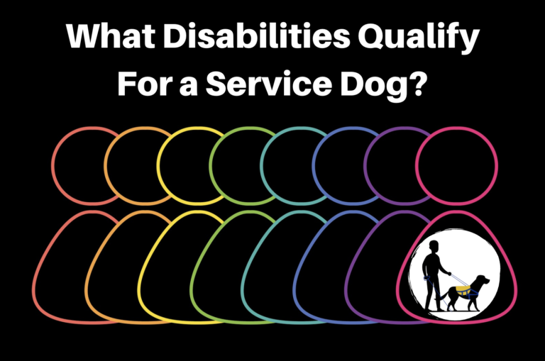 what qualifies as a service dog disability
