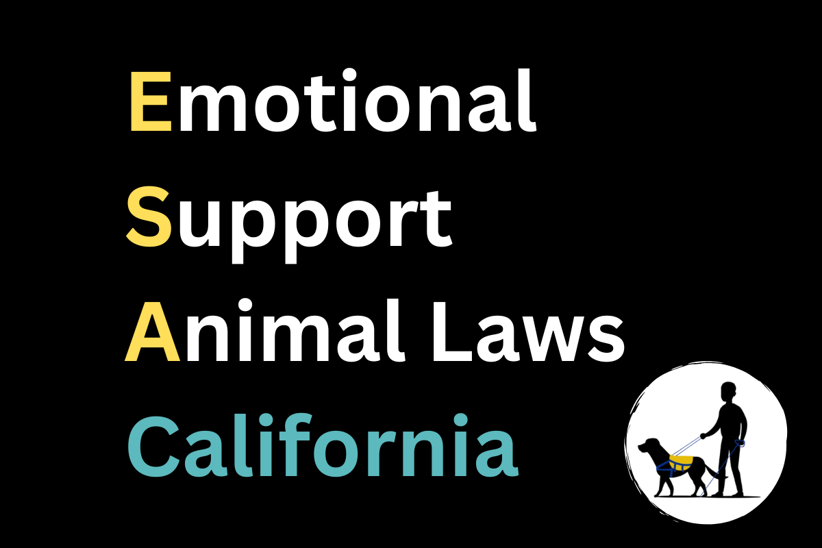 Emotional Support Animal Laws California & FAQs [2023]