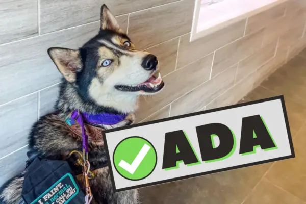 Husky Service Dog ADA 