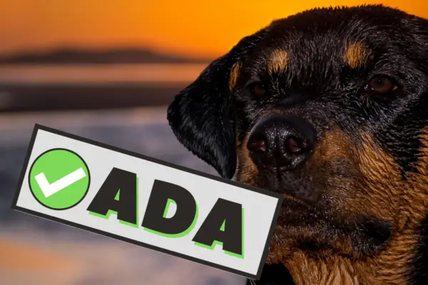 ADA Rottweiler service dog