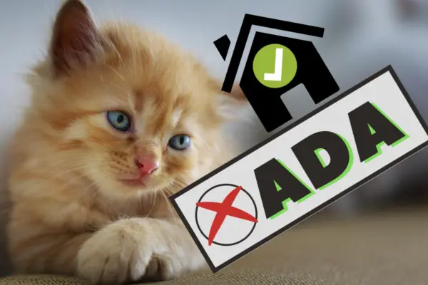 Is a cat a service animal under ADA? 