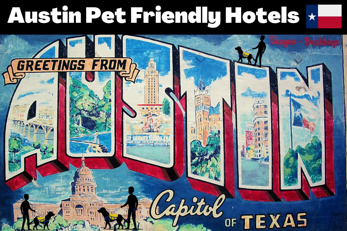 Austin Pet Friendly Hotels