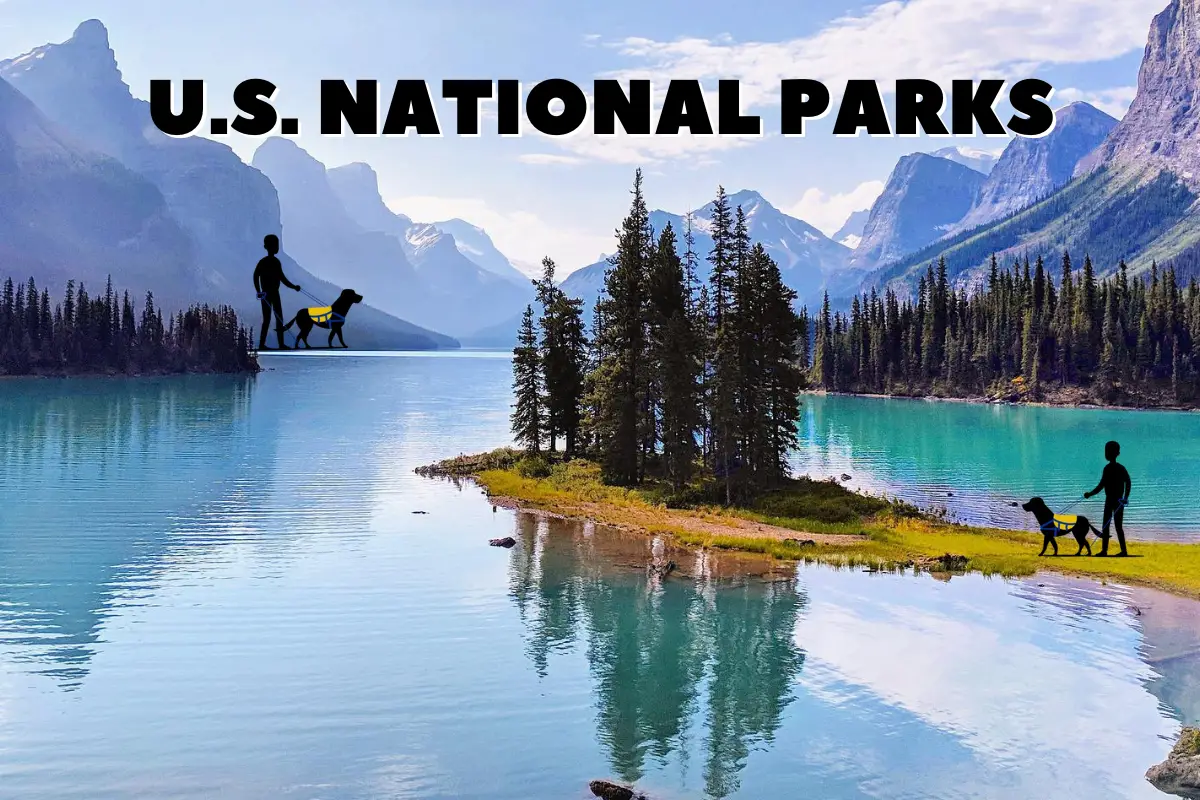 Service Dogs in National Parks - Get Your Free Access Pass [2023]