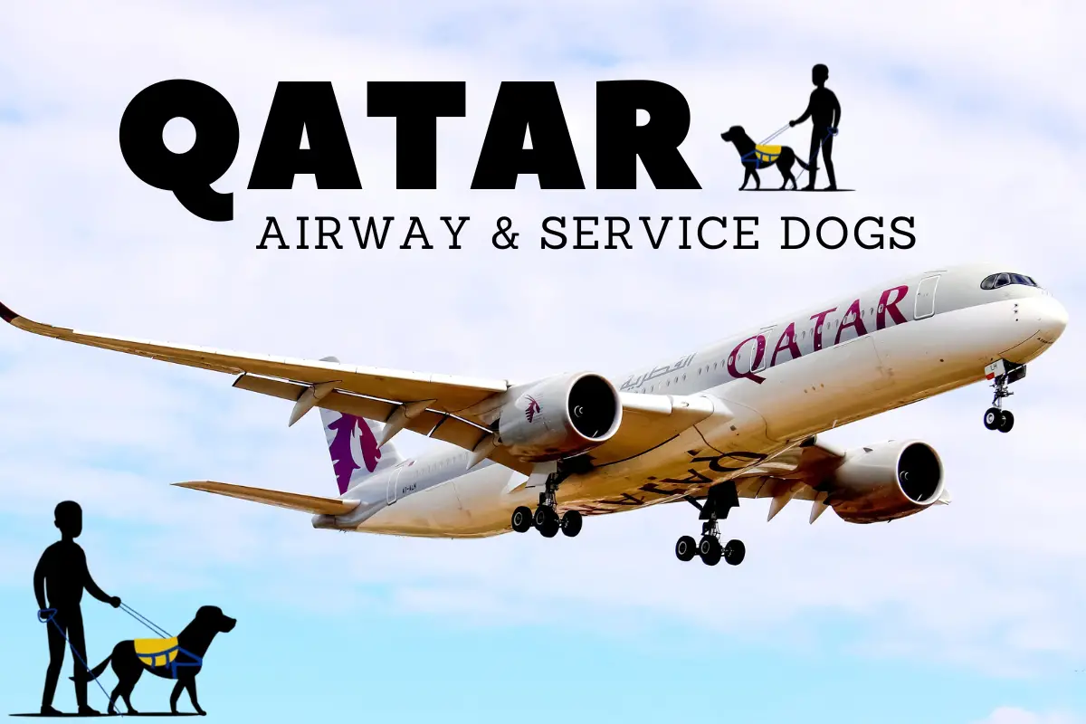 Qatar Airways and Service Dogs