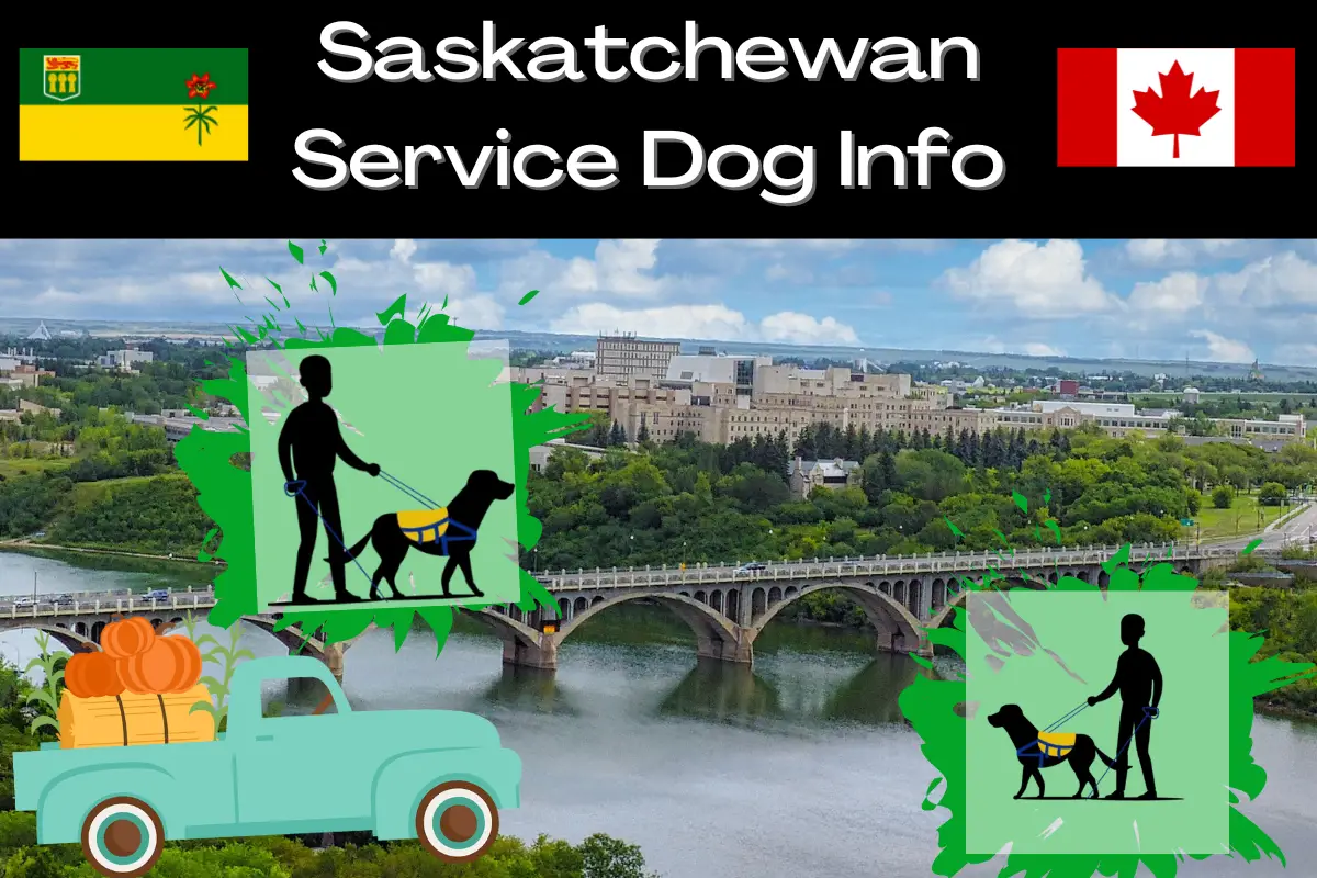 Saskatchewan Service Dog Laws Info