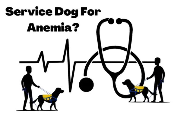 service dog for anemia 