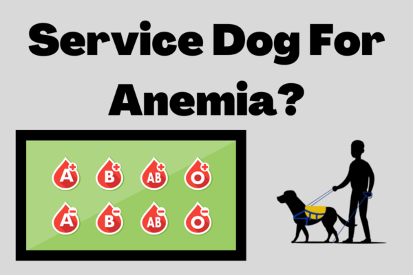 service dog for anemia