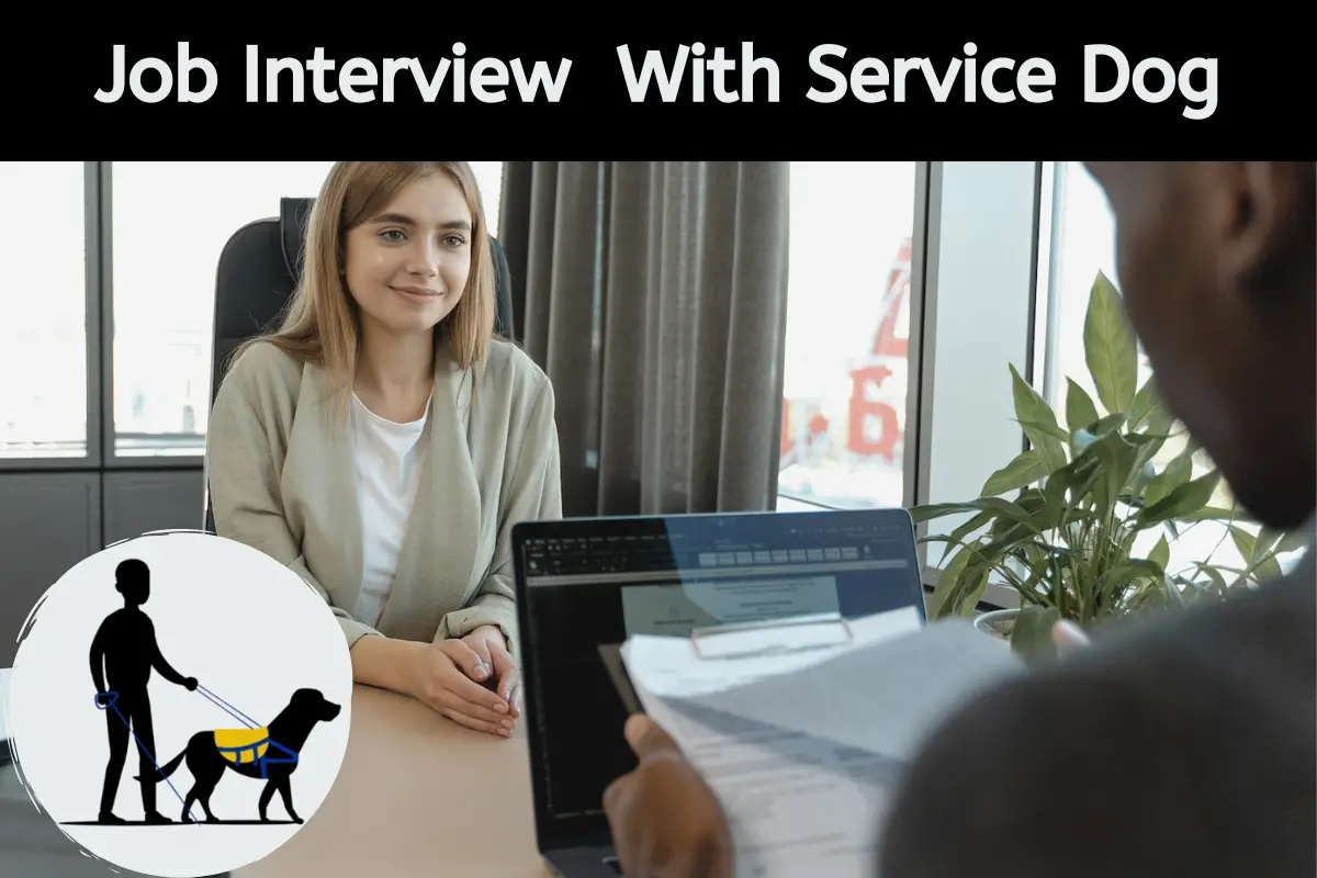 Job Interview With Service Dog